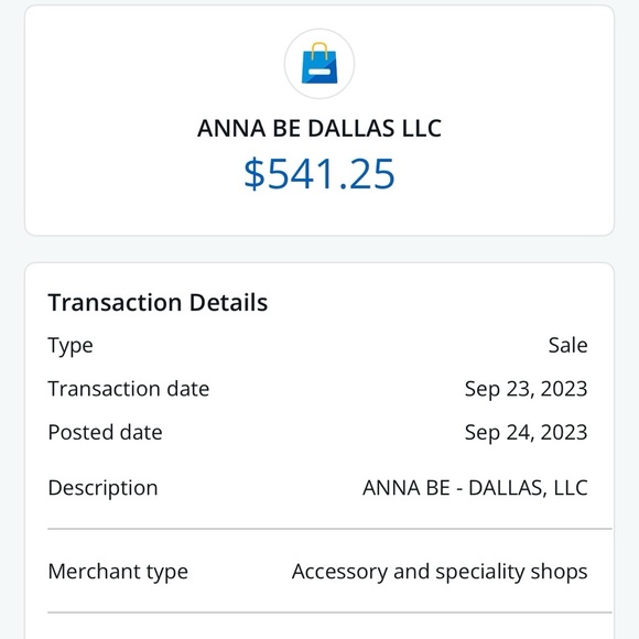 Sara Gabriel Horsehair veil w/blusher - never been worn. - Picture 5 of 5
